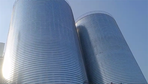 邢台2座混凝土高架卷板仓